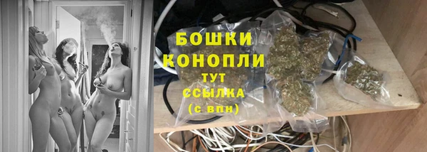 мдпв Каменка
