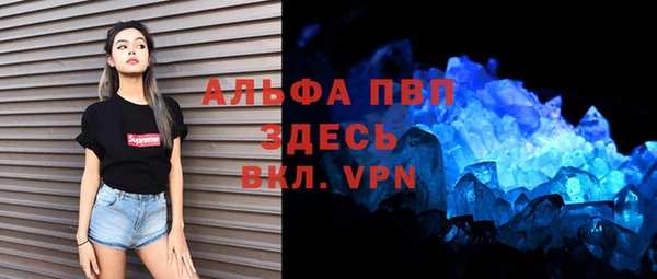 мдпв Каменка