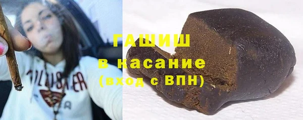 мдпв Каменка