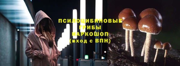 меф Каменногорск