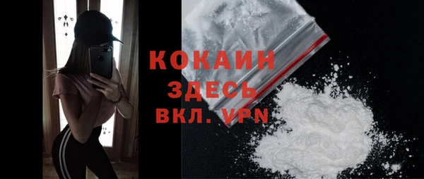 каннабис Ессентукская