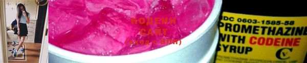 мдпв Каменка