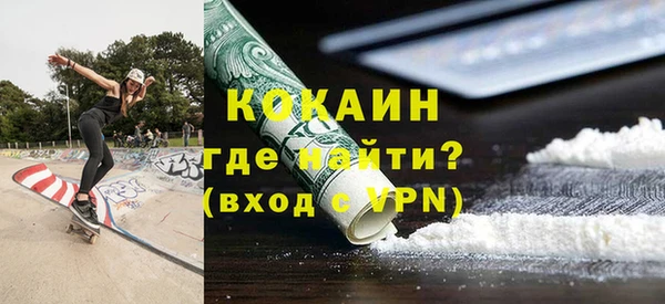 мдпв Каменка