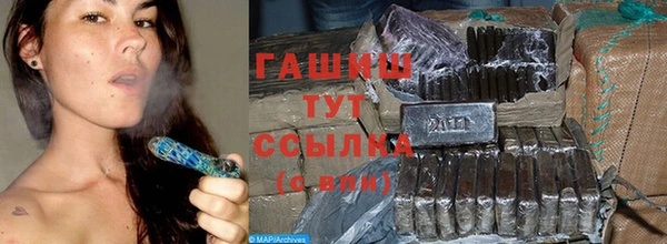 мдпв Каменка