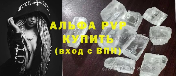 мдпв Каменка