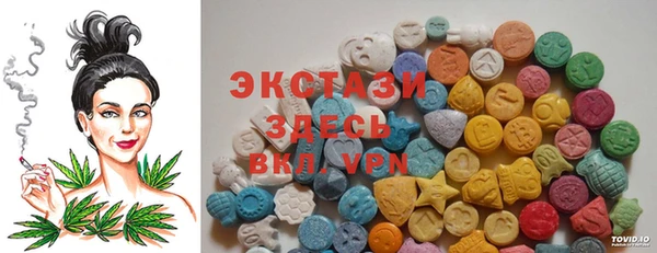 мдпв Каменка